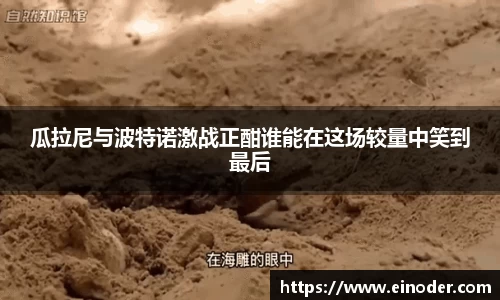 球盟会